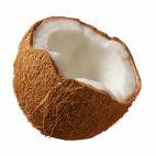 coconut photo from microsoft