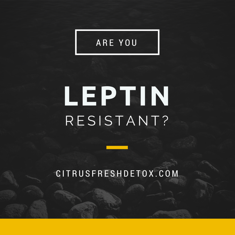 GBW Leptin Resistant