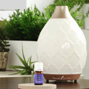 YL Desert Mist Diffuser with Fulfill Your Destiny