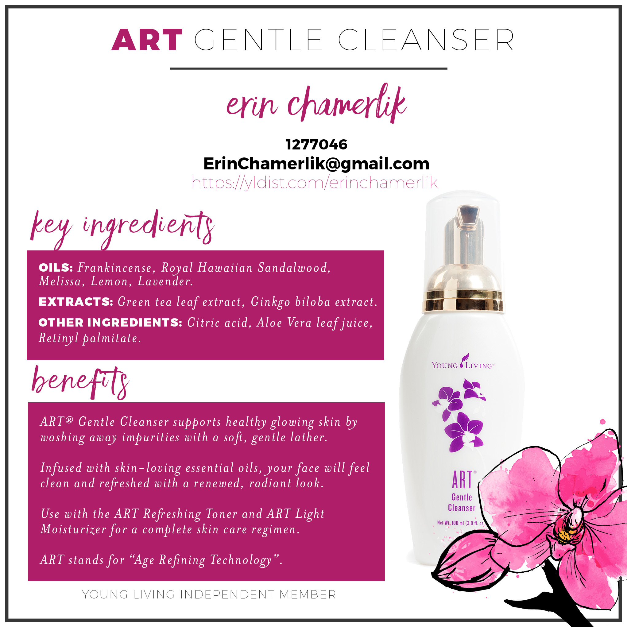 9-art-gentle-cleanser