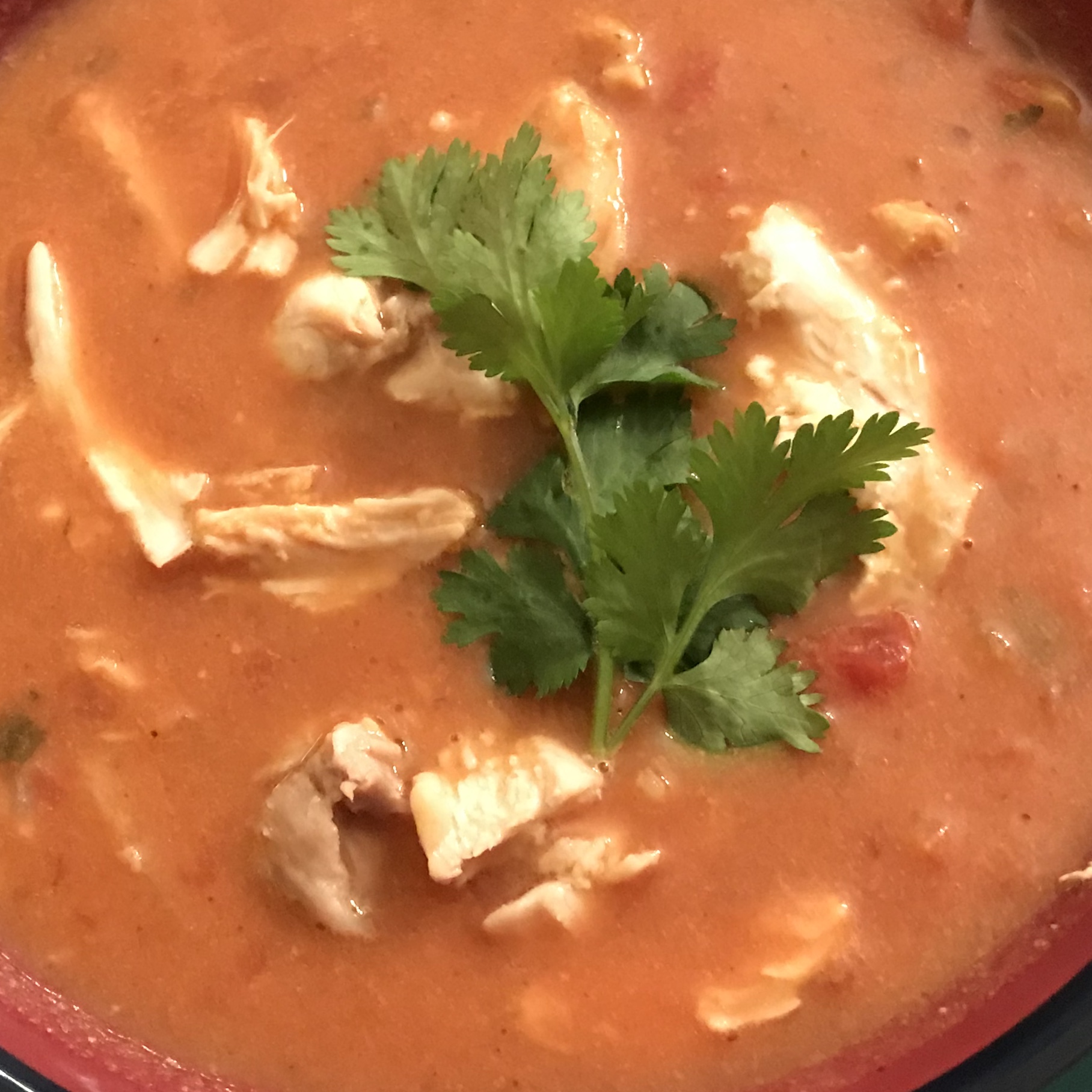 Hot & Hearty Tomato Avocado Chicken Soup | Get Better Wellness